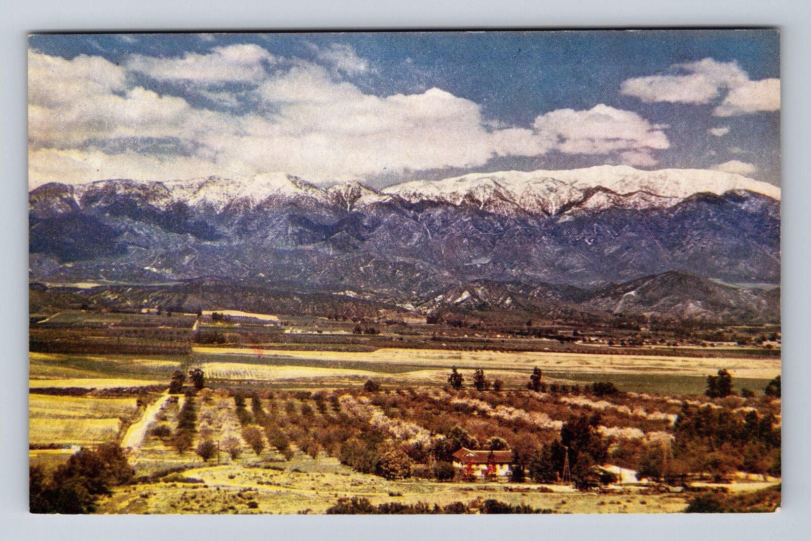 CA-California, Mount San Gergonio, Antique, Vintage Postcard