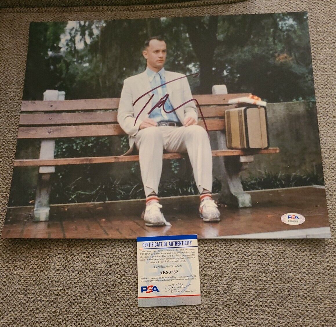 TOM HANKS SIGNED 11X14 PHOTO FORREST GUMP BENCH PSA/DNA AUTHENTICATED #AK80782