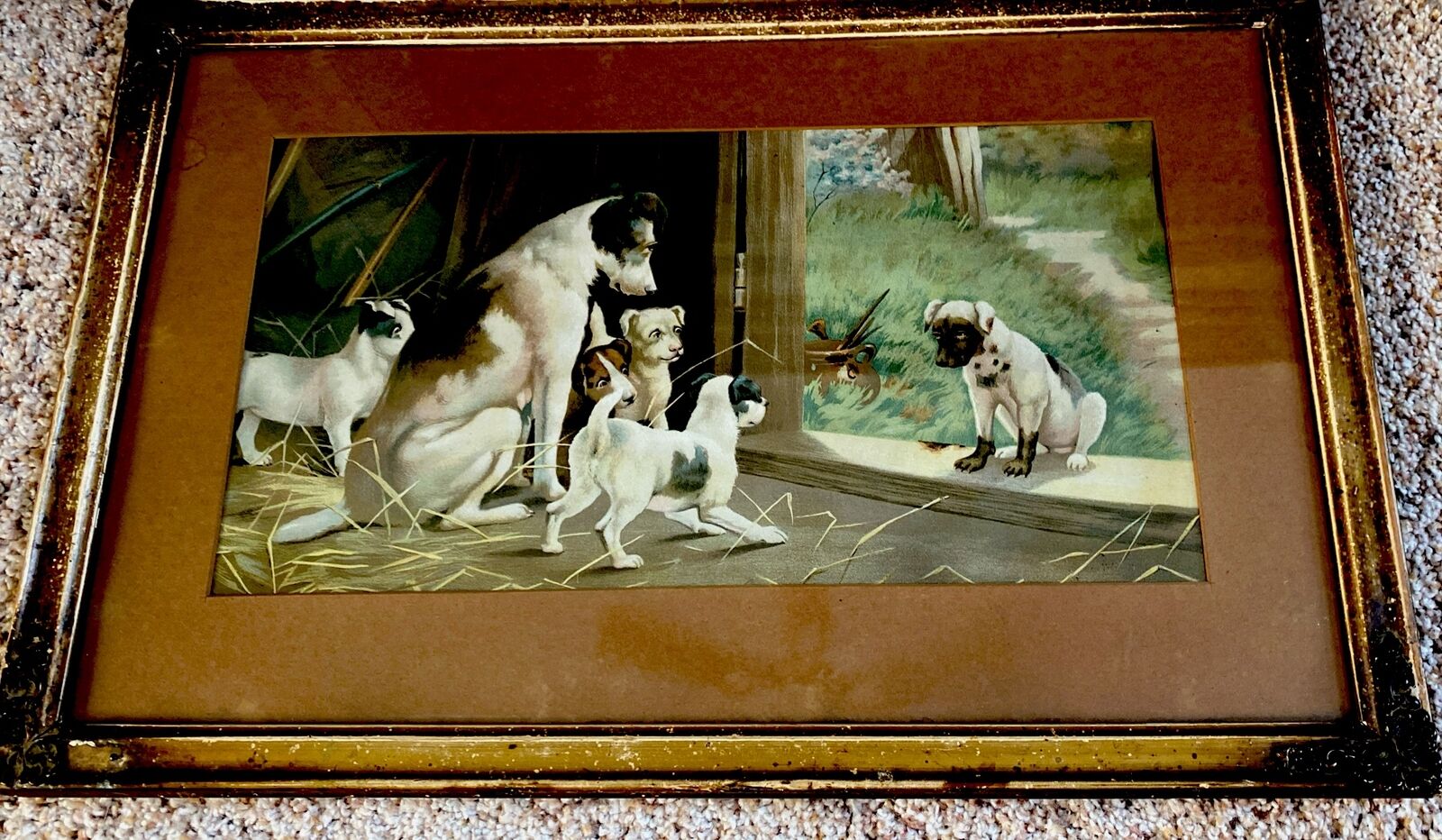 Antique 1895 Framed Jack Russell Terrier Dogs-Disgrace to Family Paul De Longpre