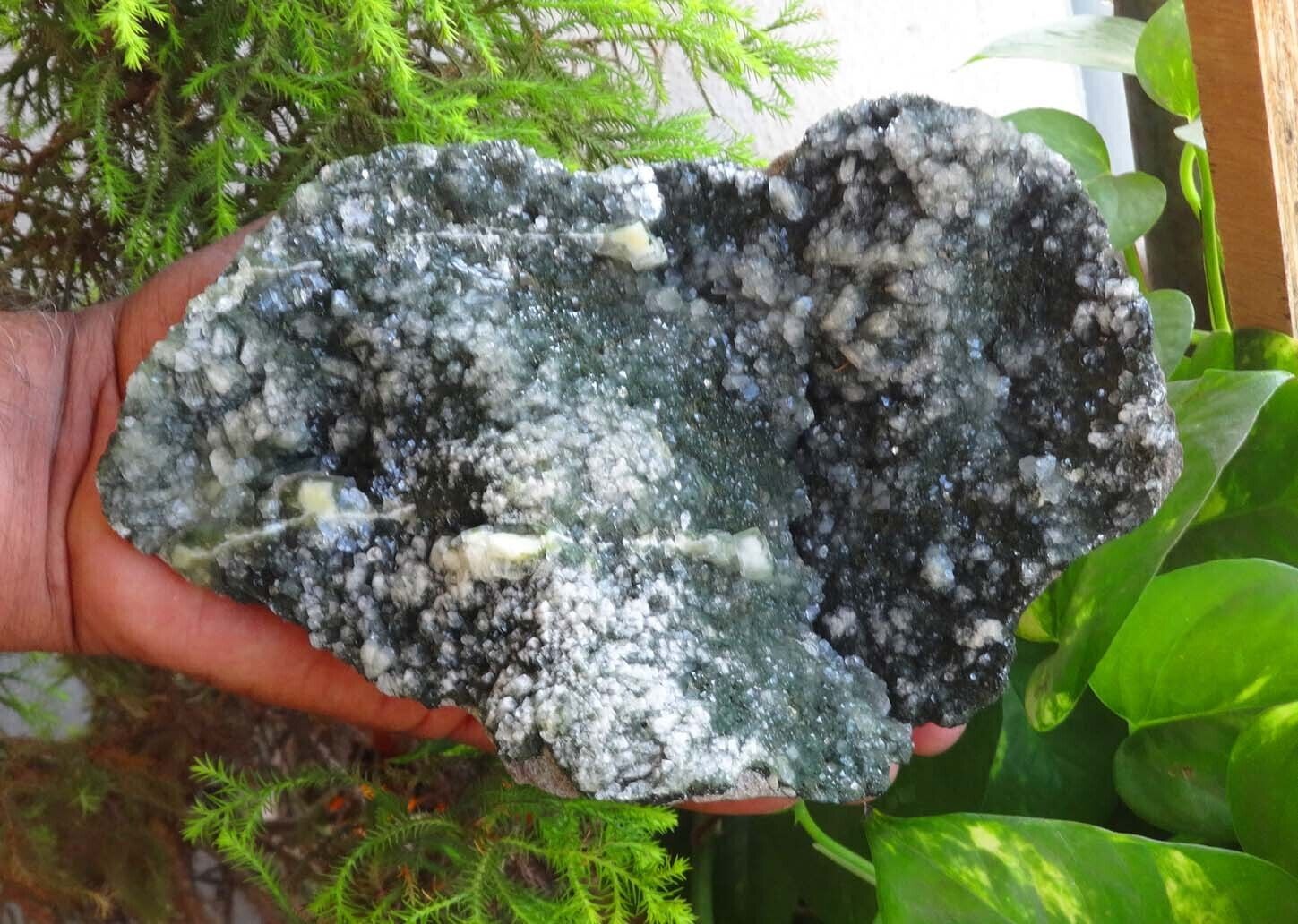 Marshy Green Apophyllite Minerals Specimen India C=16