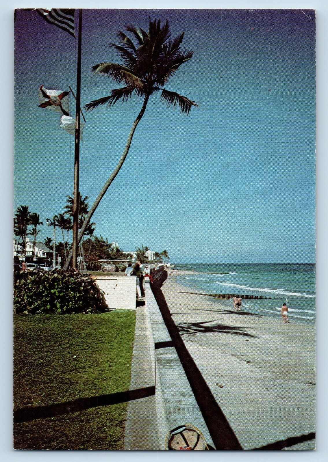 Palm Beach Florida Postcard Basking Florida's Sun Resort Visiting Lounge c1960's