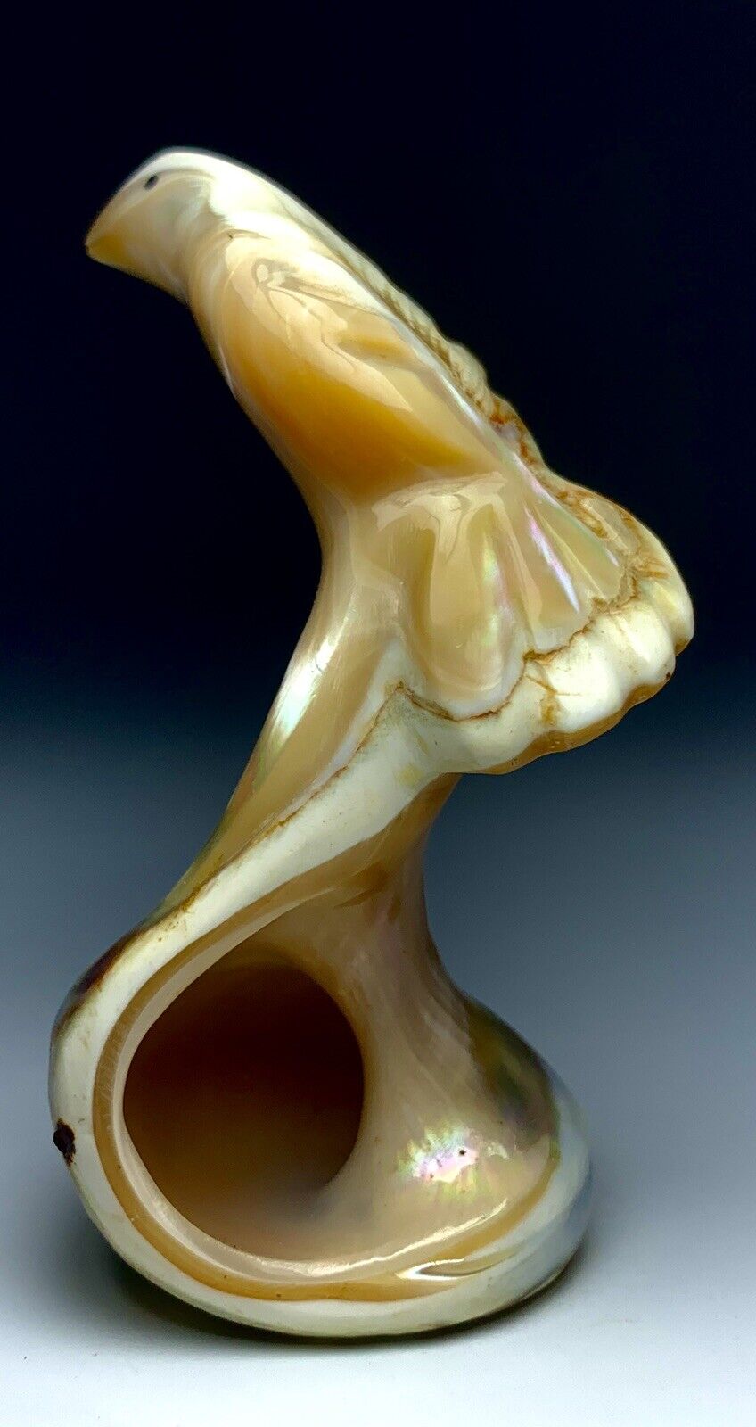 Mid Century Native Zuni Green Sea Snail Shell Bird Fetish By Leekya Deyuse (d.)
