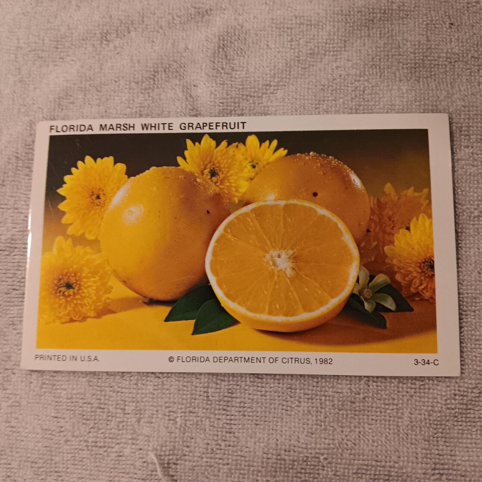 Vintage Postcard Florida Marsh White Grapefruit Unposted Printed USA 3-34-C