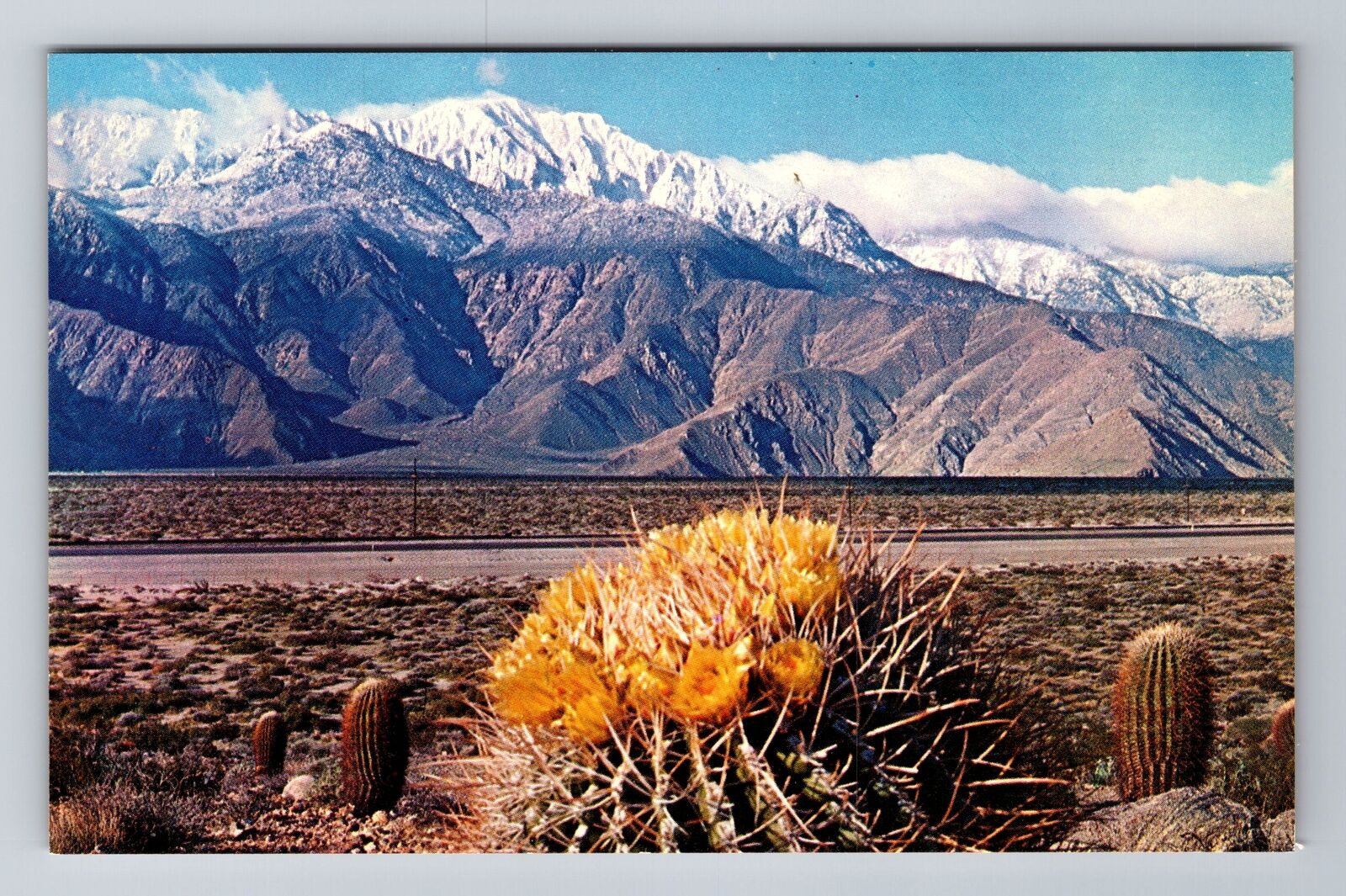 Indio CA-California, Snow Topped Mountains, Giant Barrel Cactus Vintage Postcard