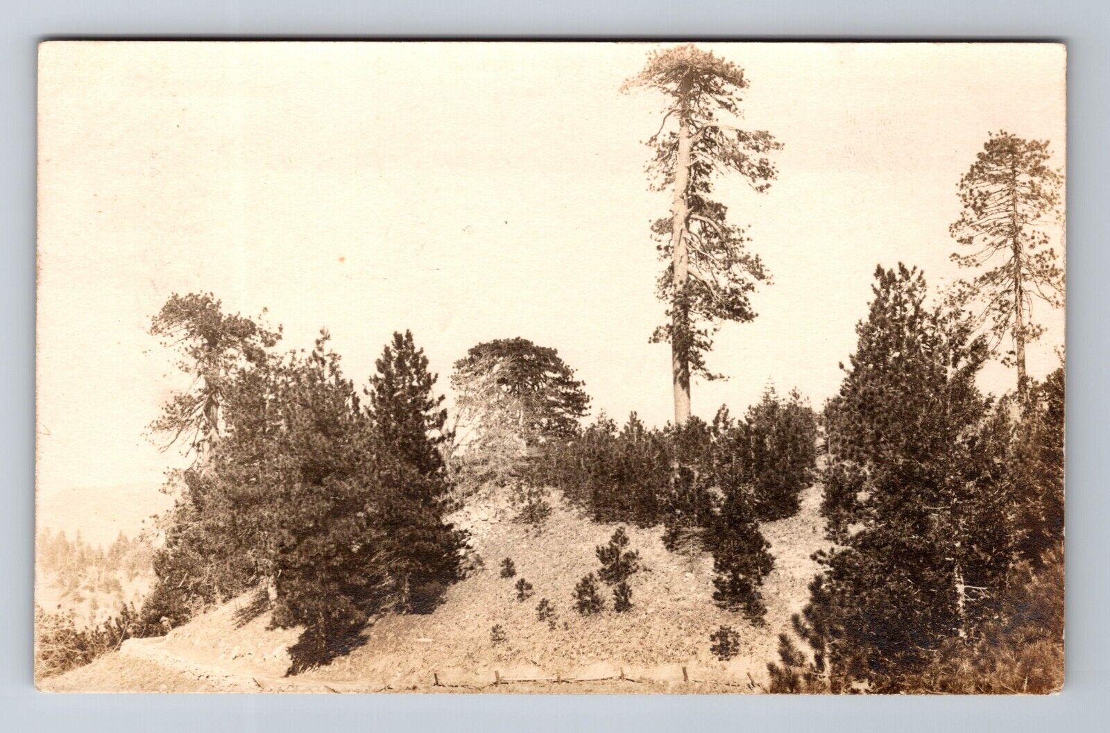 RPPC Incline CA-California, Scenic Mountain View, c1909 Vintage Postcard