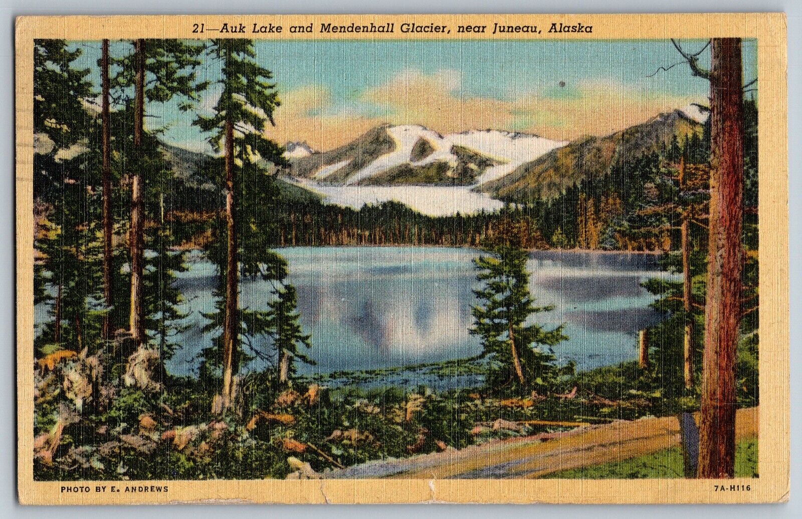 Juneau, Alaska - Auk Lake and Mendenhall Glacier - Vintage Postcard - Posted