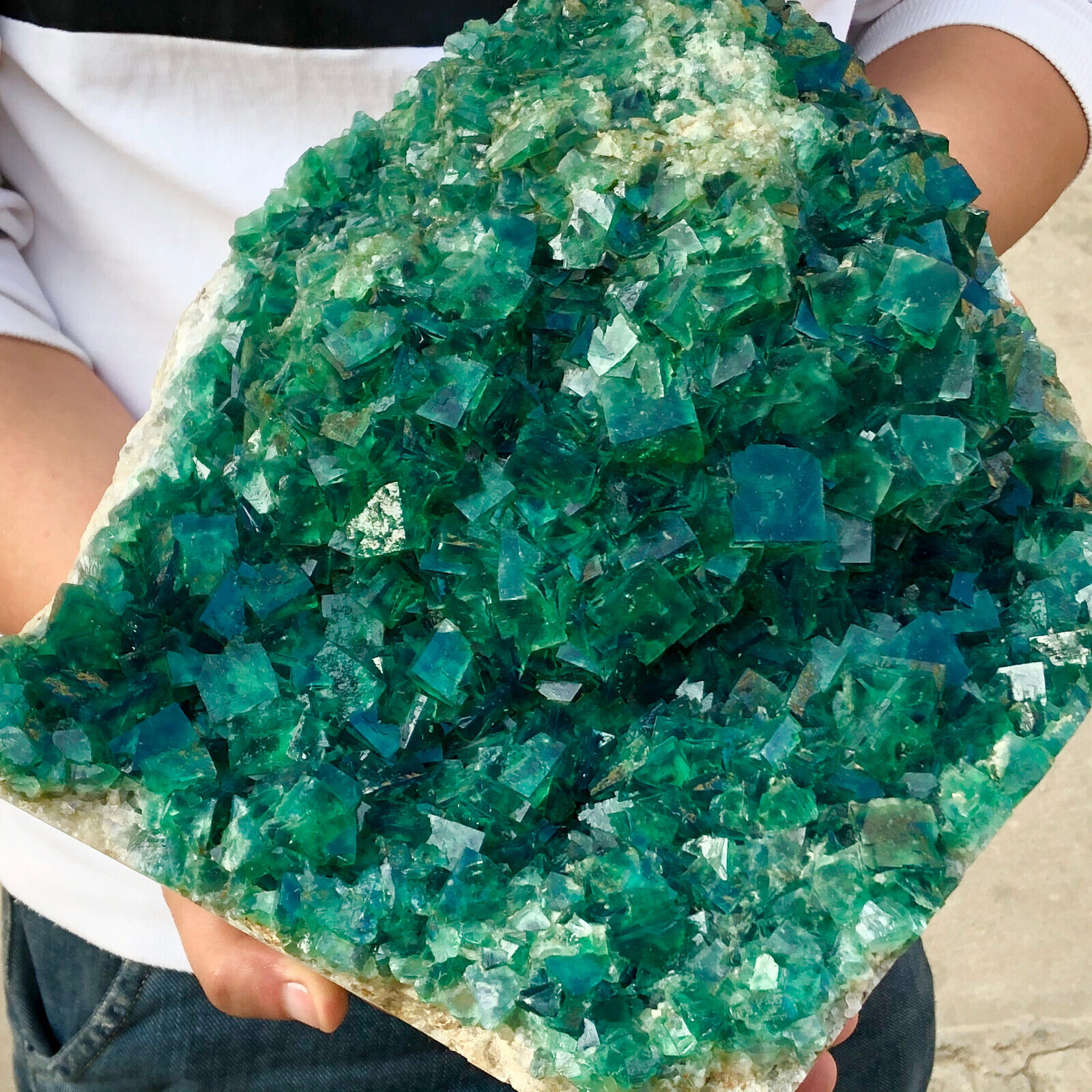 24.64lb Natural Green cubic Fluorite Crystal Cluster mineral sample healing