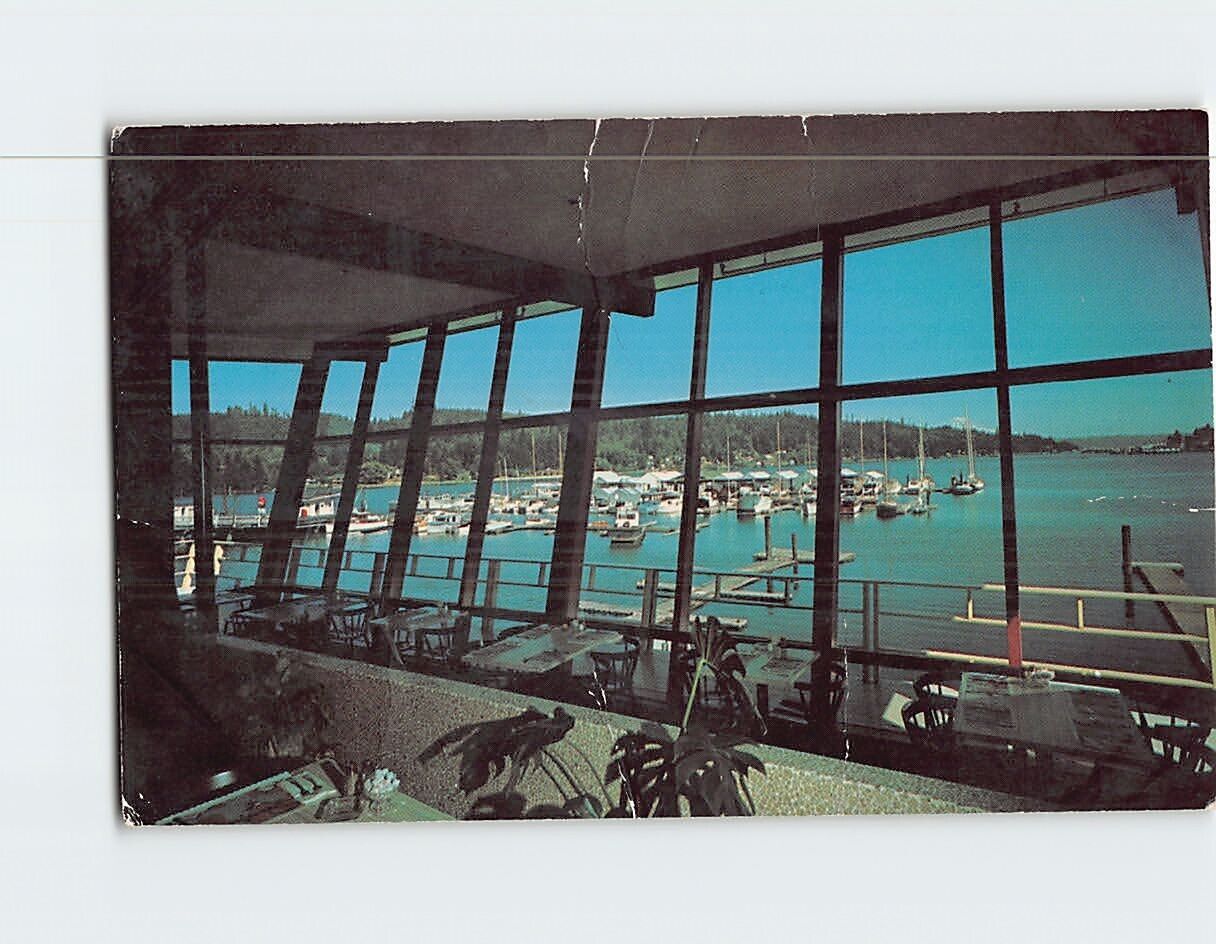 Postcard Follow the Gull to the Shoreline of Gig Harbor Washington