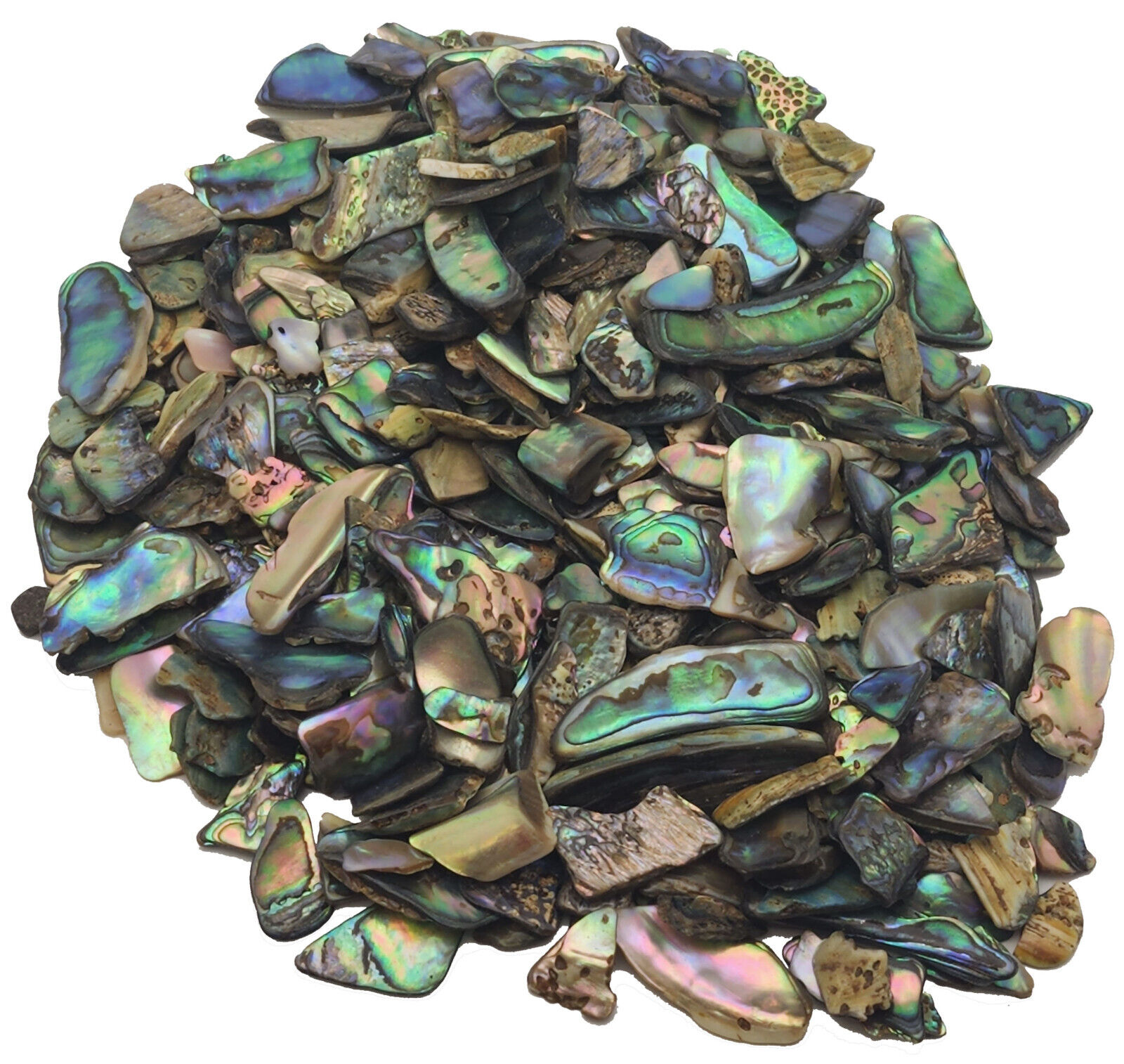 Paua Shell Pieces - Gloss -  6mm - 25mm - 1/4 lb Lot - Abalone