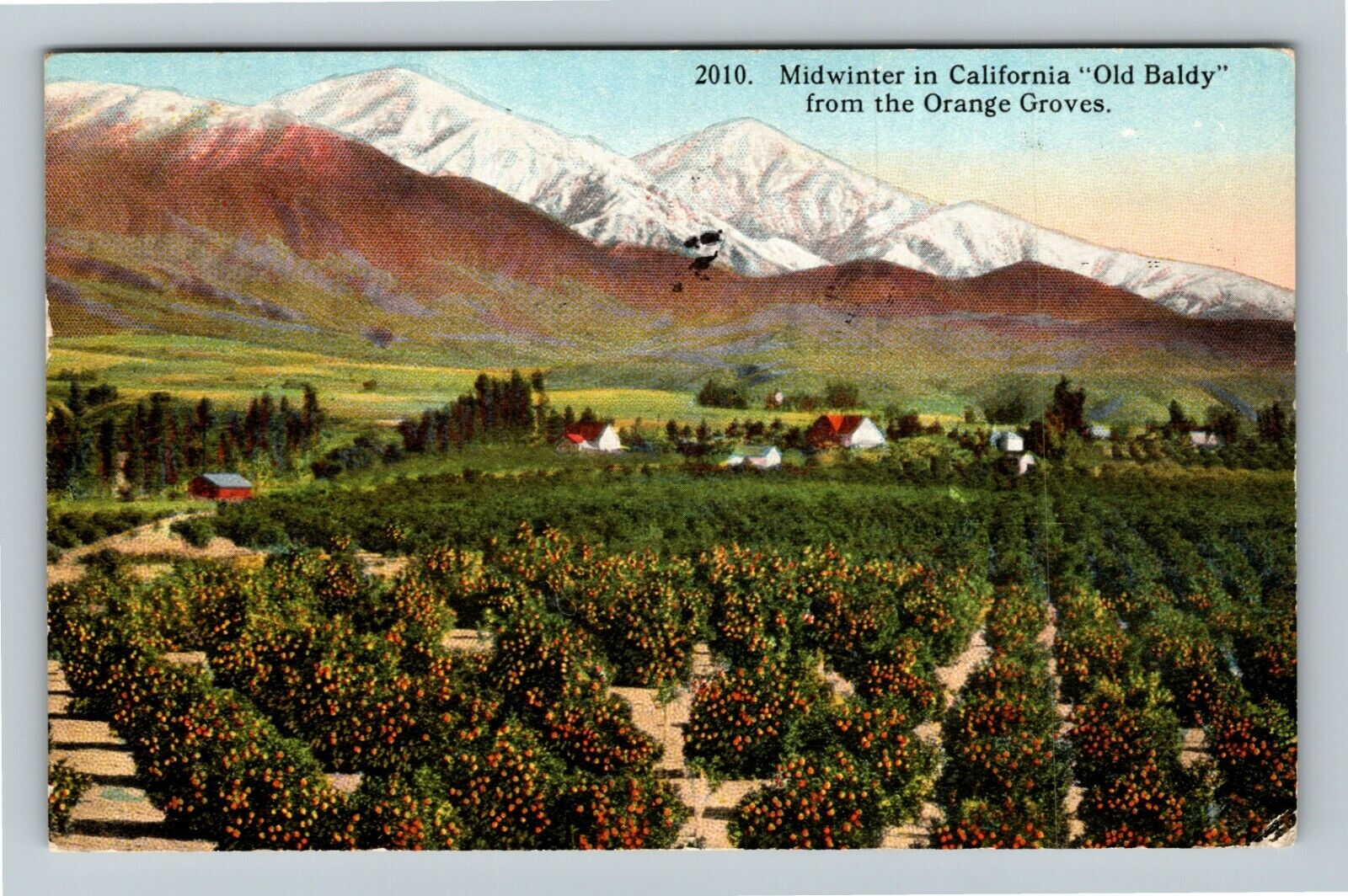 Midwinter CA-California, Aerial View Orange Groves, c1917 Vintage Postcard