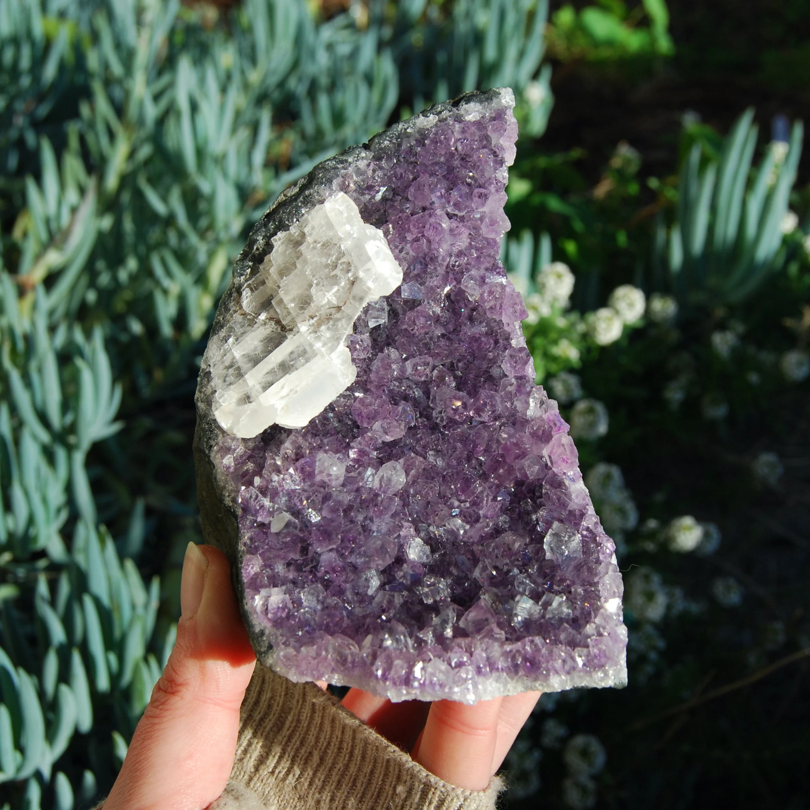 1.5lb XL Raw Amethyst Geode Selenite Flower Crystal Cathedral Cluster, Self Stan