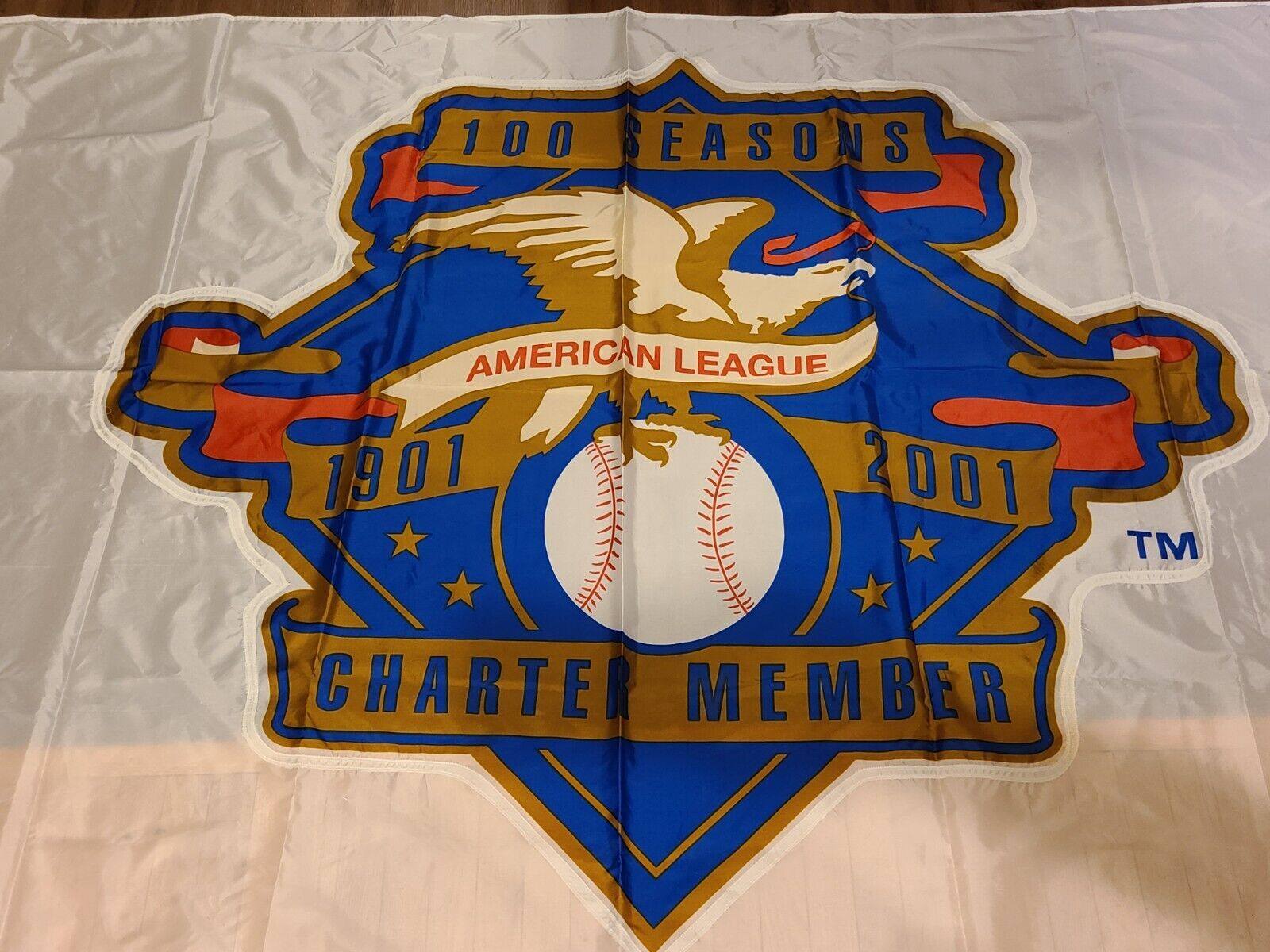 RARE Vintage Jacob's Field Cleveland OH Indians 100th Year Charter Stadium Flag