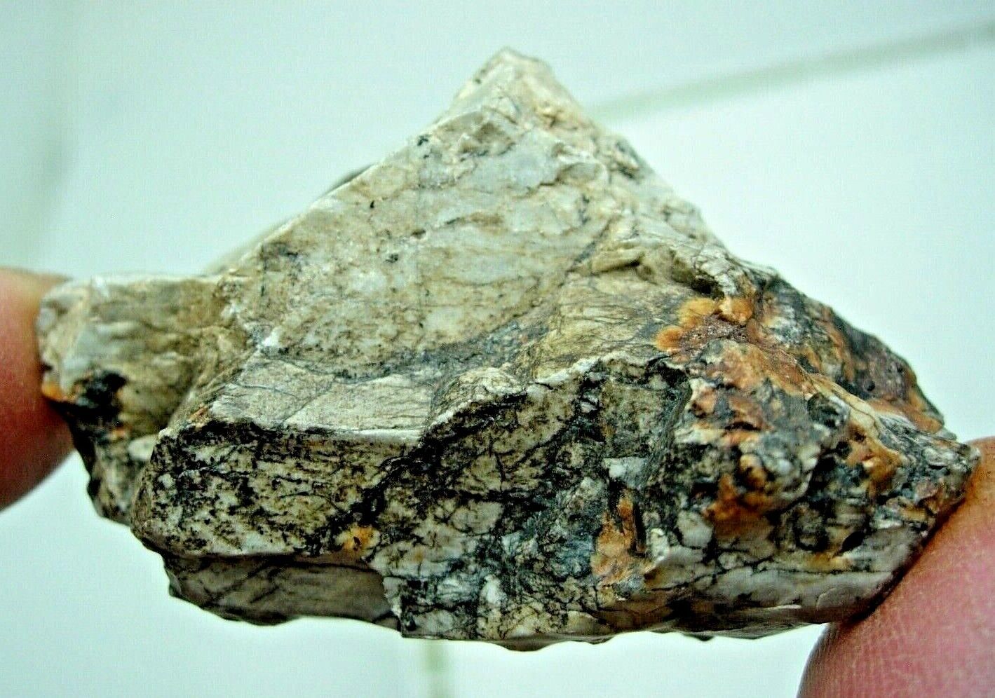 63.7 grams DJOUA 001 Enstatite achondrite Meteorite (Aubrite) as found with COA