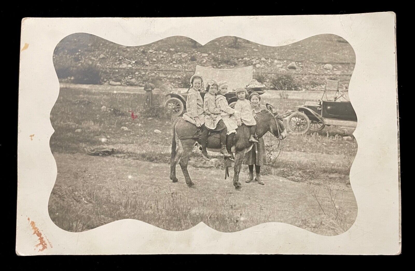 CHILDREN PILED ON DONKEY  ROADSIDE ATTRACTION  RPPC  1910s   CUTE