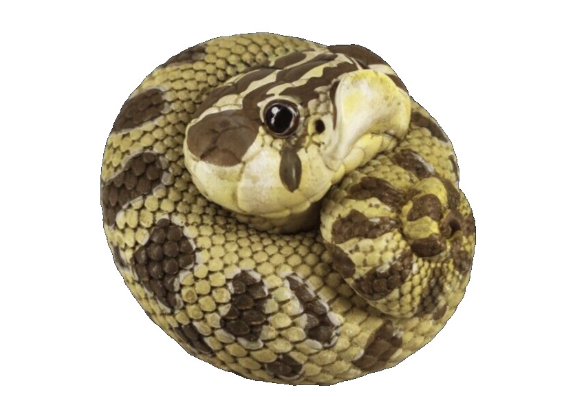 【In-Stock】 Animal Heavenly Body Western Hognose Collectible Snake Statue
