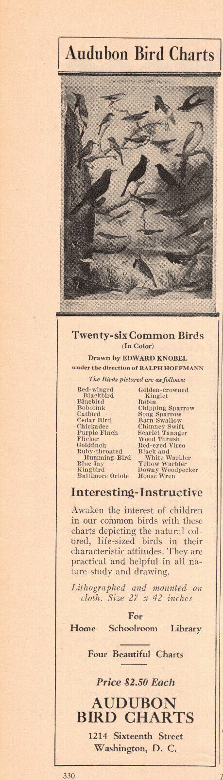 1927 Audubon Bird Charts Vintage Print Ad - 26 Common Birds In Color