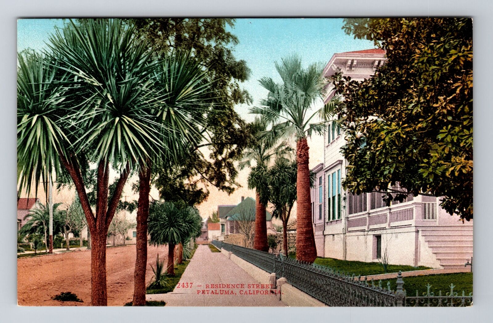 Petaluma CA-California, Residence Street, Antique Vintage Souvenir Postcard