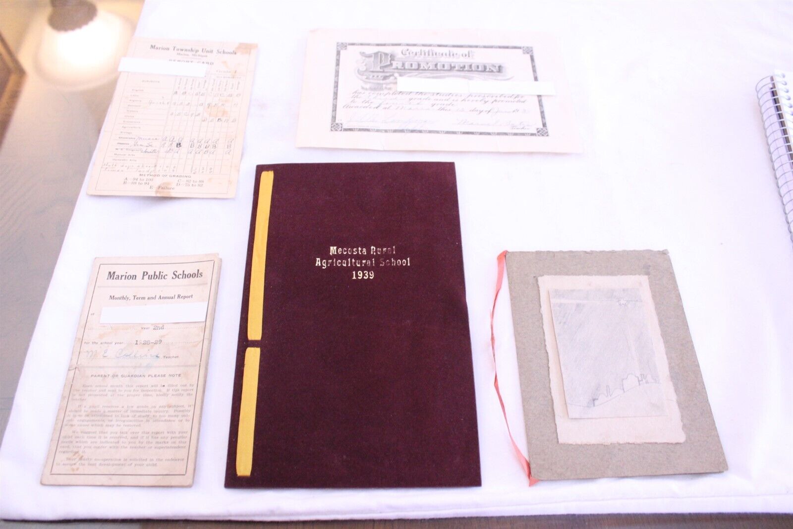 Collection of Vintage 1928-1939 Report Cards, Certificate & Diploma Mecosta, MI