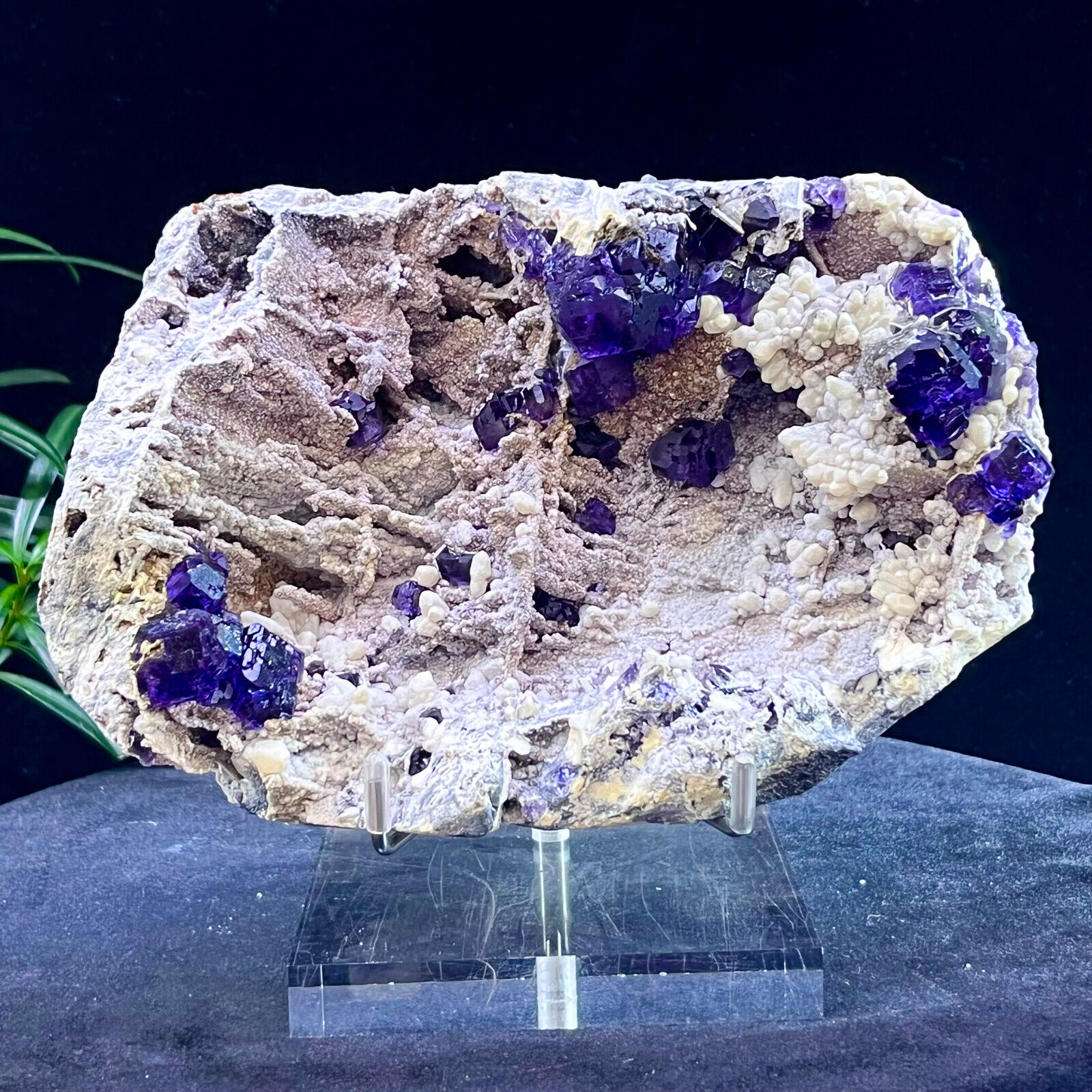 3.99LB Natural Tanzanite Purple Fluorite Tanzanite Coexisting Mineral Roughness