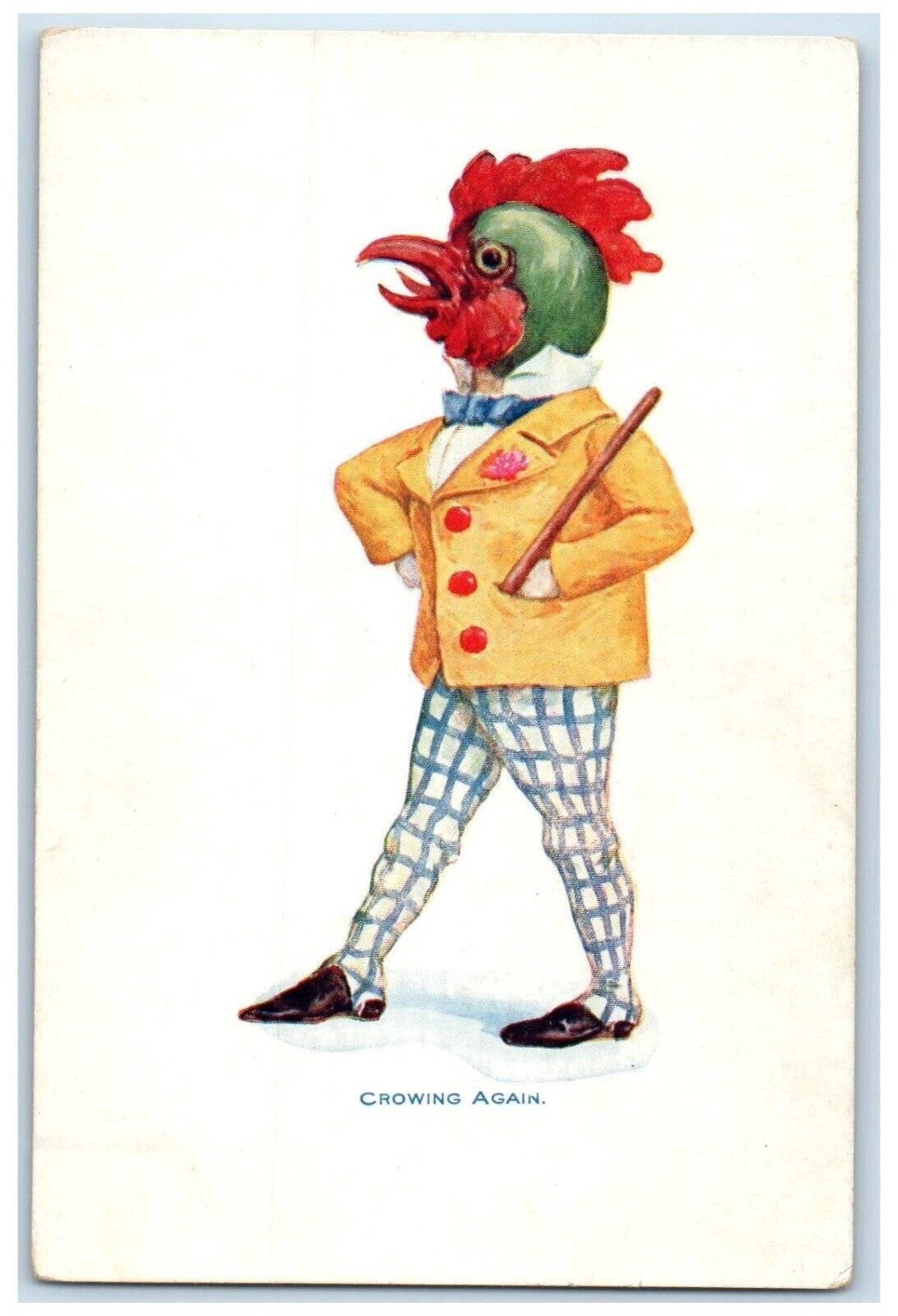 c1905 Man Wearing Rooster Head Costume Crowning Again Unposted Antique Postcard