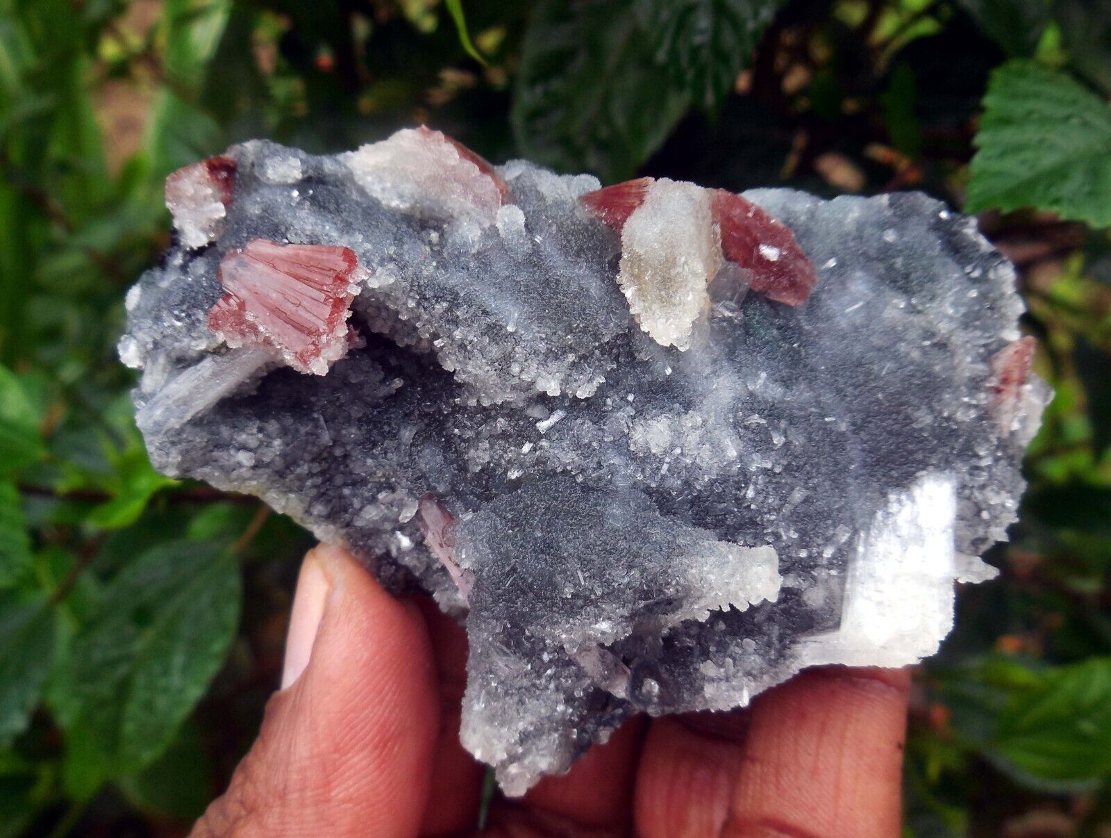 Red HEULANDITE On CHALCEDONY Matrix Minerals M-5.24
