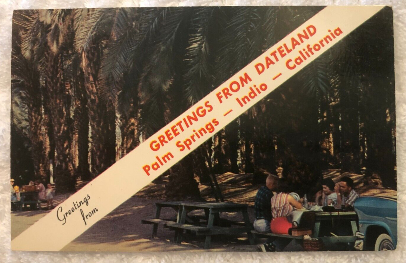 Palm Springs Indio California CA Greetings, Picnickers Postcard Posted 1959