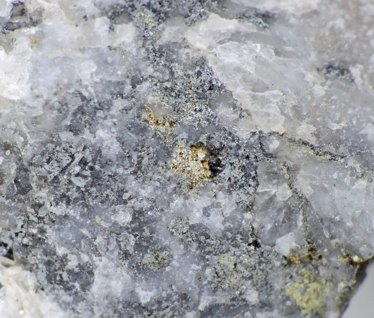 Gold Tellurides Sylvanite Petzite *Tintic Mining District, Utah*