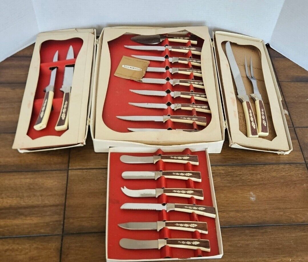 Vintage Sheffield English Stainless Steel 19 Piece Cutlery Set Treasure Chest