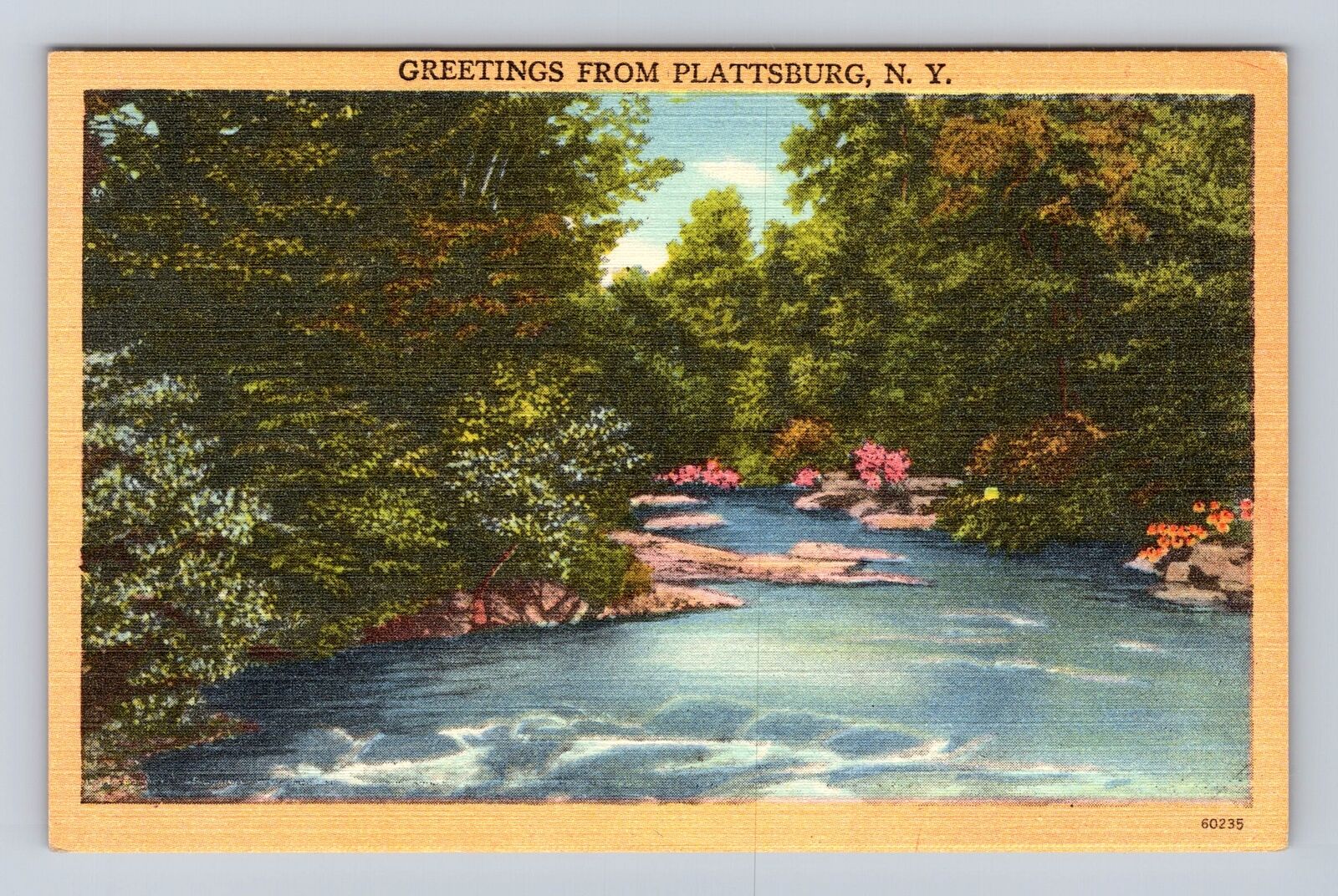 Plattsburg NY-New York, General Greetings, Country River, Vintage Postcard