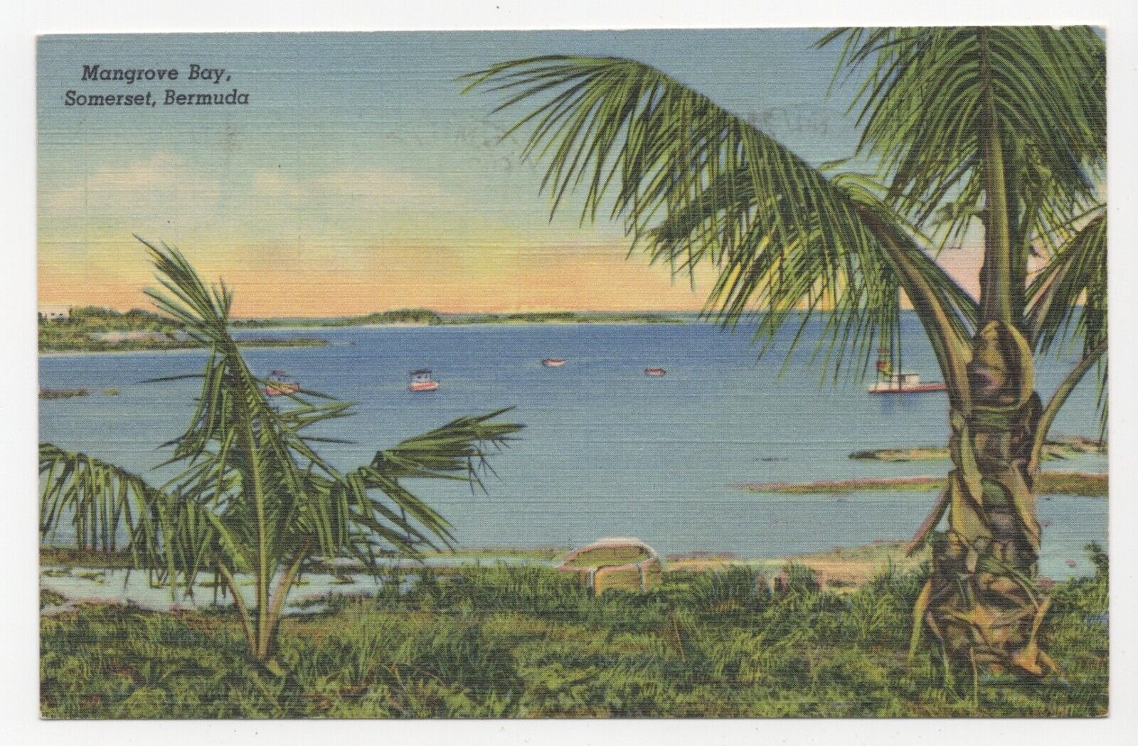 Mangrove Bay Somerset Bermuda Linen Posted 1950 Postcard