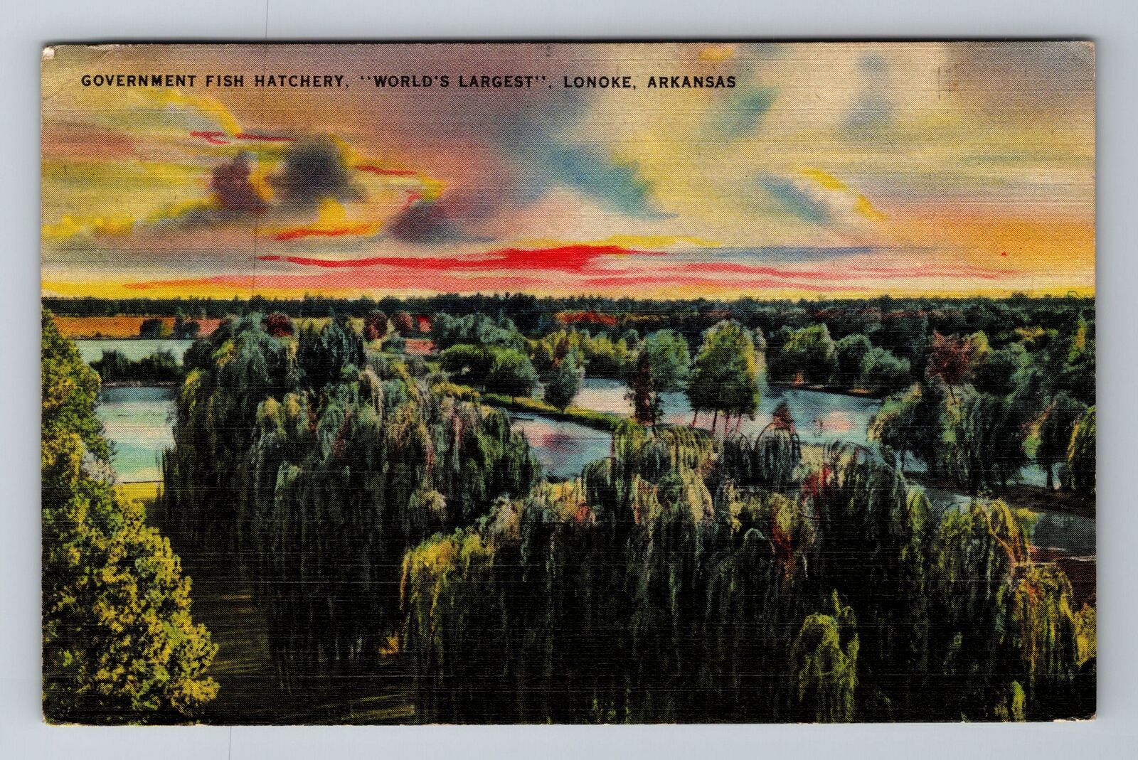 Lonoke AR-Arkansas, Government Fish Hatchery, Antique, Vintage Souvenir Postcard