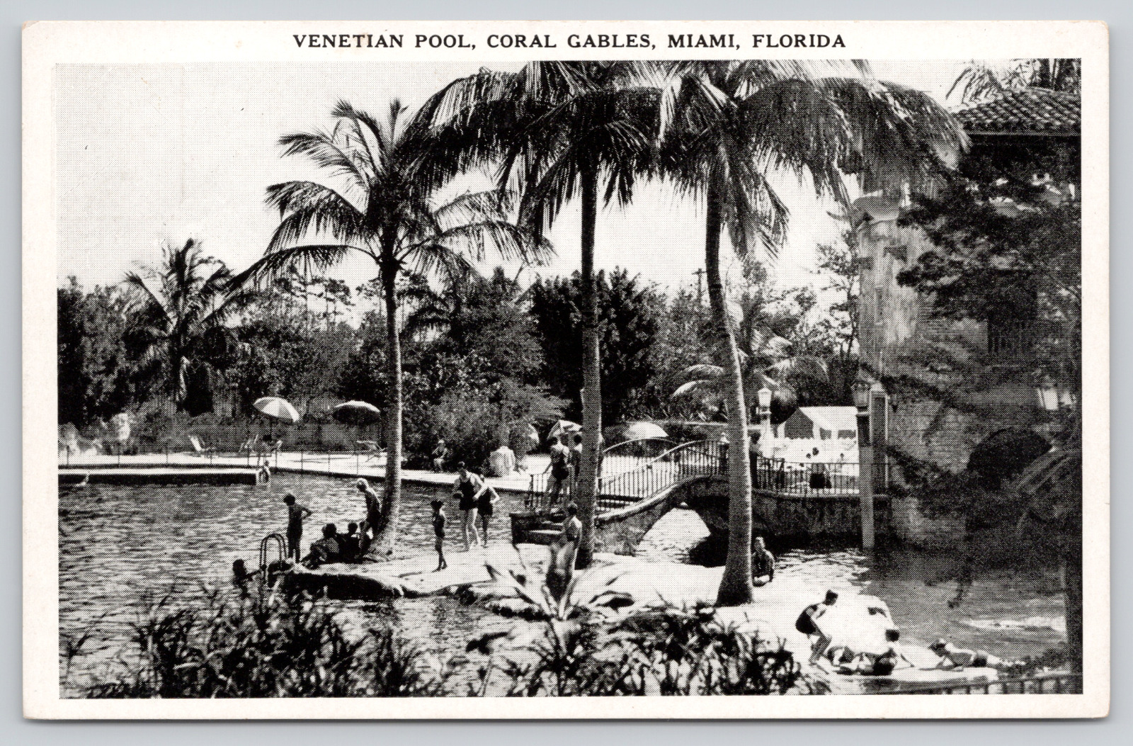 Postcard Coral Gables, Miami, Florida Venetian Pool A532