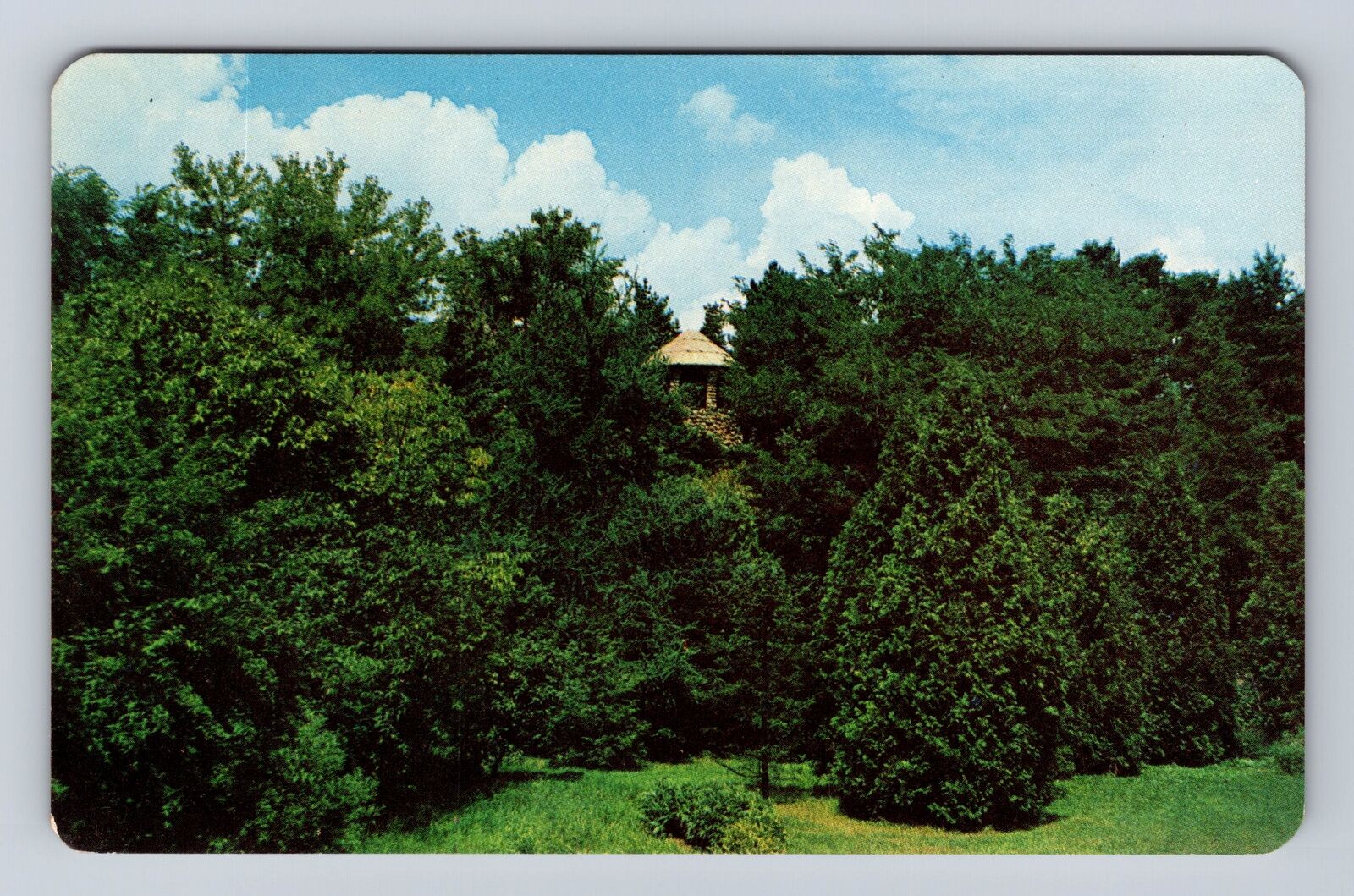Hillsdale MI- Michigan, Slayton Arboretum, Hillsdale College, Vintage Postcard