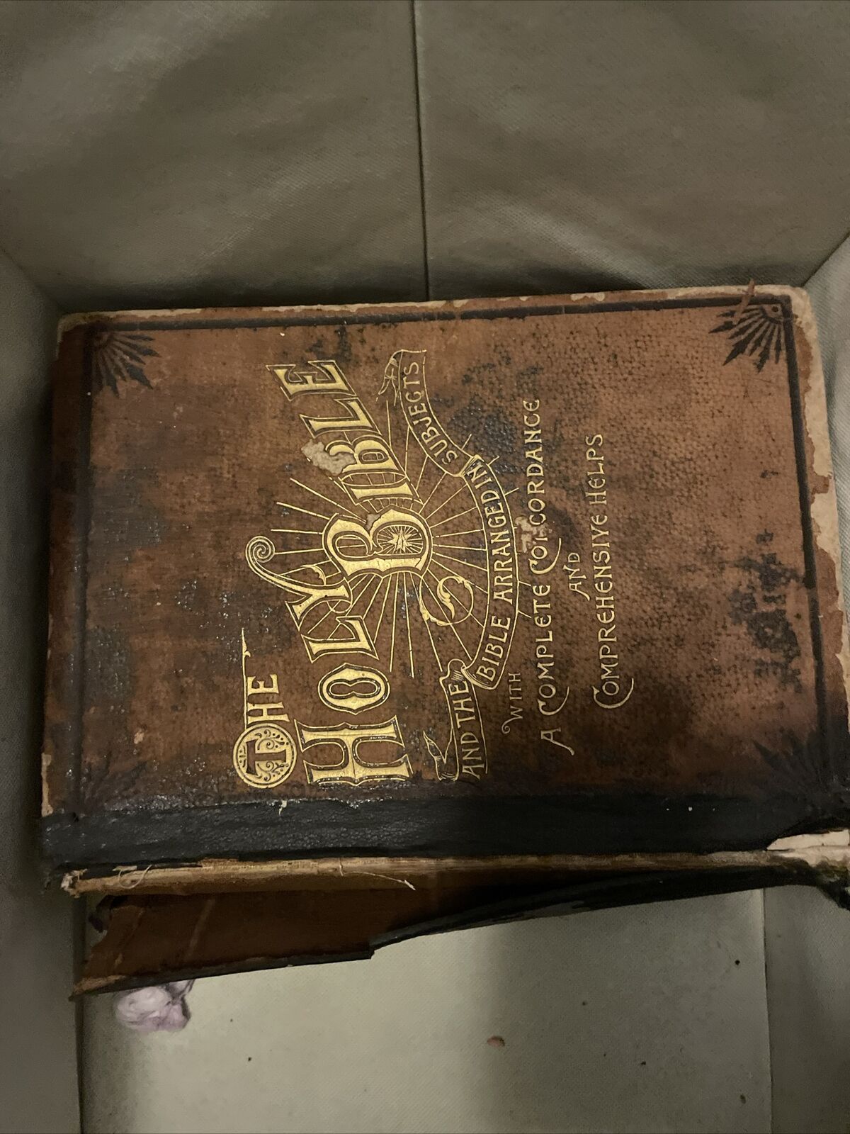 1895 the holy bible