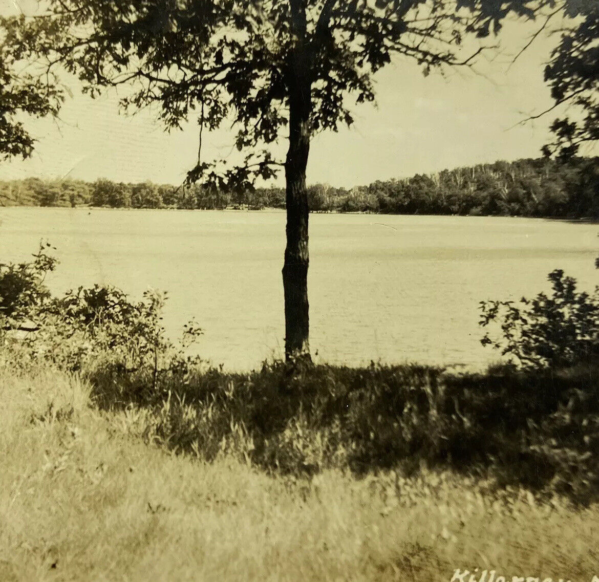 RPPC Killarney Manitoba Canada Real Photo Postcard River Scene Trees c1930s