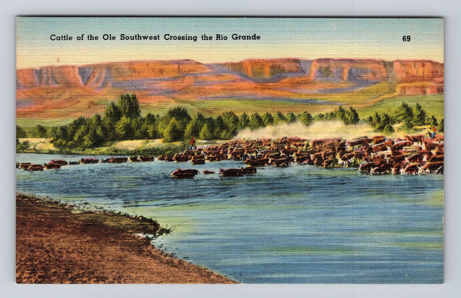 Rio Grande TX- Texas, Cattle Of Ole Southwest, Antique, Vintage Postcard