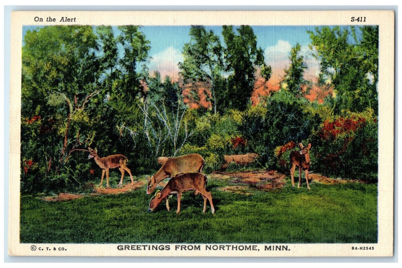 c1940's Greetings From Northome Group Of Deer Minnesota Correspondence Postcard