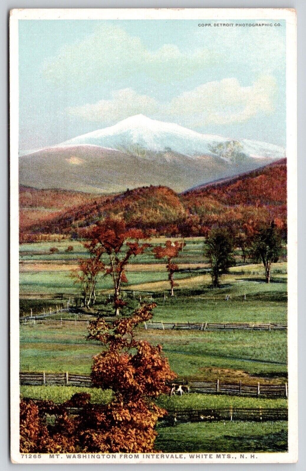 Mt Washington  Intervale White Mountains New Hampshire Nh Postcard