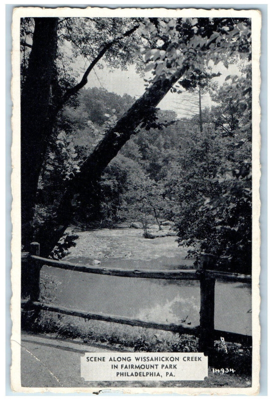 c1940's Scene Along wissahickon Creek Philadelphia Pennsylvania PA Postcard