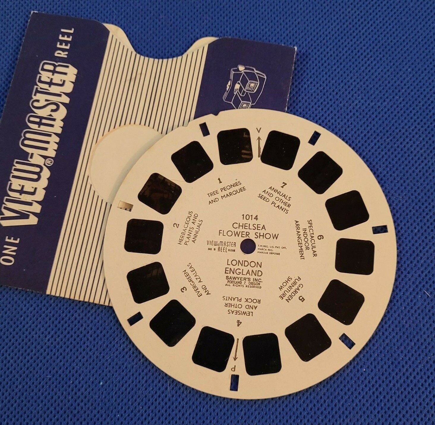 Sawyer\'s Vintage view-master Reel 1014 Chelsea Flower Show London England