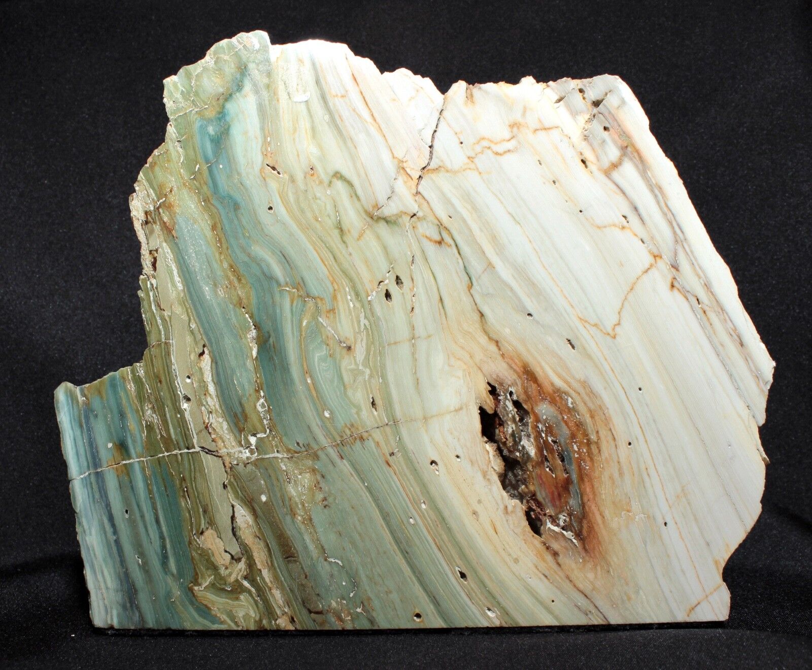 Miocene Petrified Bogwood (Green Jasper) from McDermitt, Oregon 1308 grams