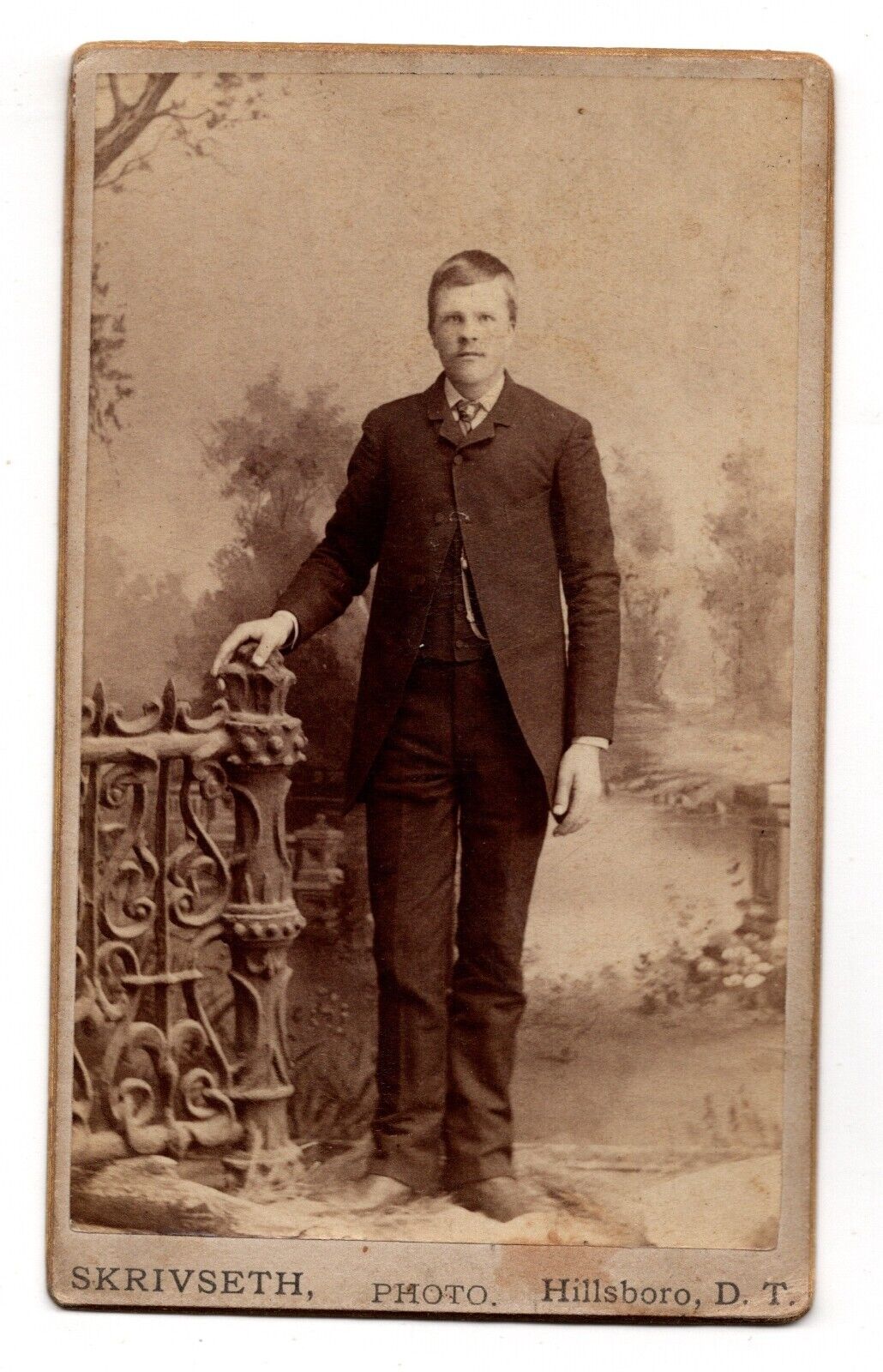ANTIQUE CDV CIRCA 1880s J.L. SKRIVSETH HANDSOME YOUNG MAN HILLSBORO NORTH DAKOTA