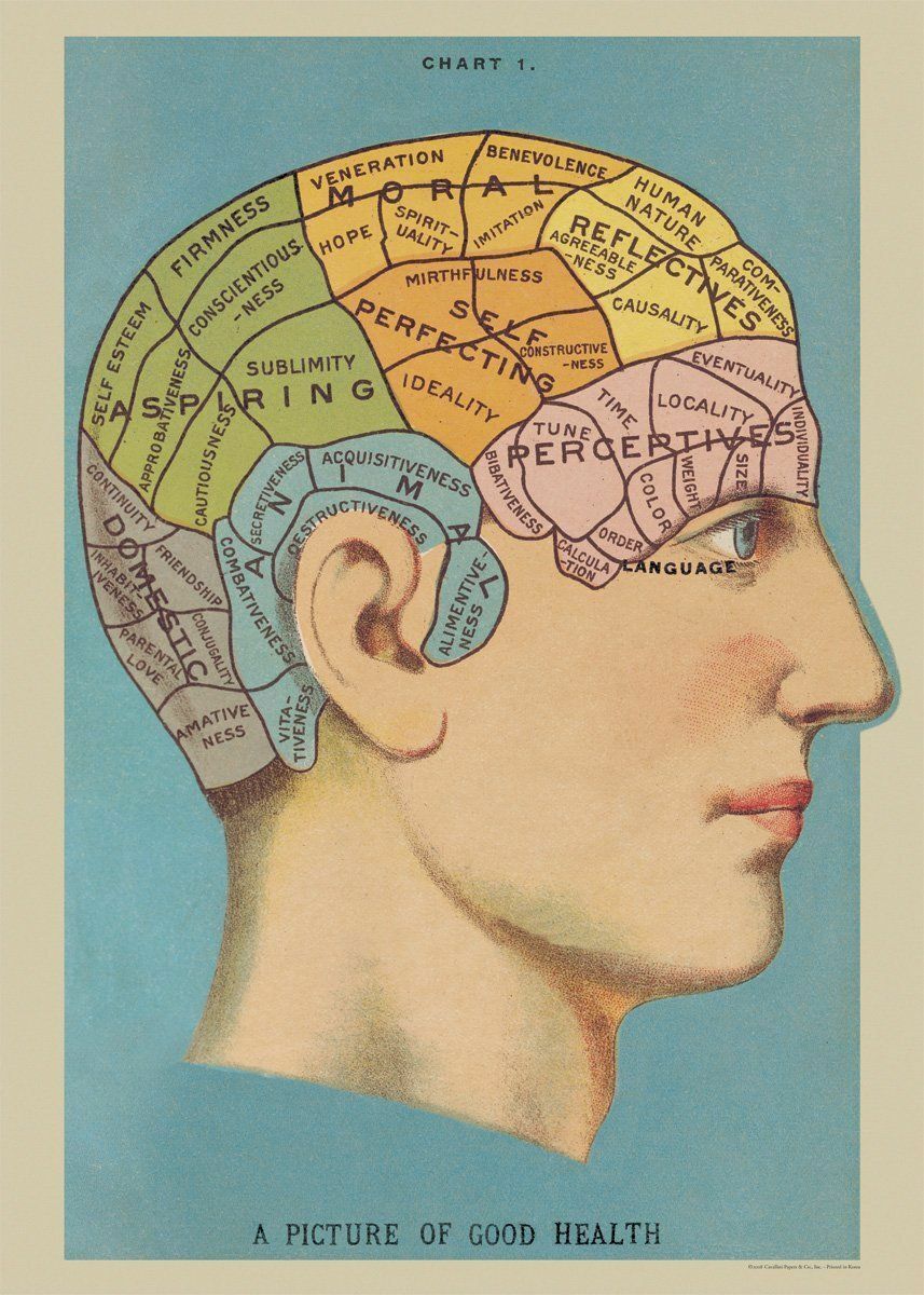 Modern Postcard: Repro, Vintage 1920 Print - The Brain - Picture of Good Health