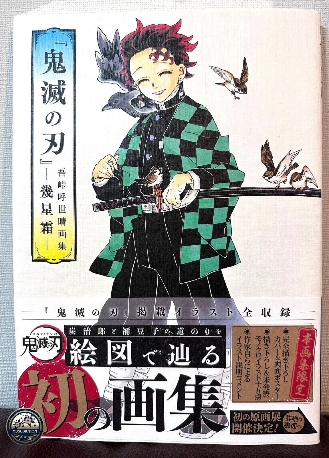 Demon Slayer Ikuseiso Art Book Koyoharu Gotouge Kimetsu no Yaiba anime japan