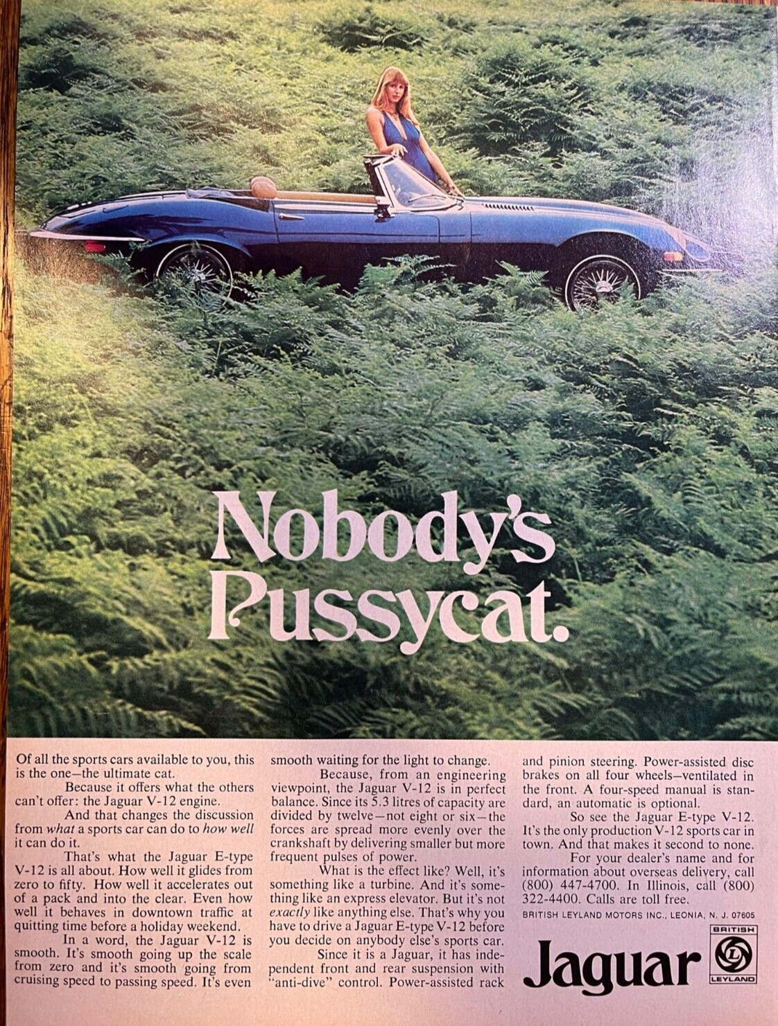 1974 Vintage Magazine Advertisement Jaguar Nobody\'s Pussycat