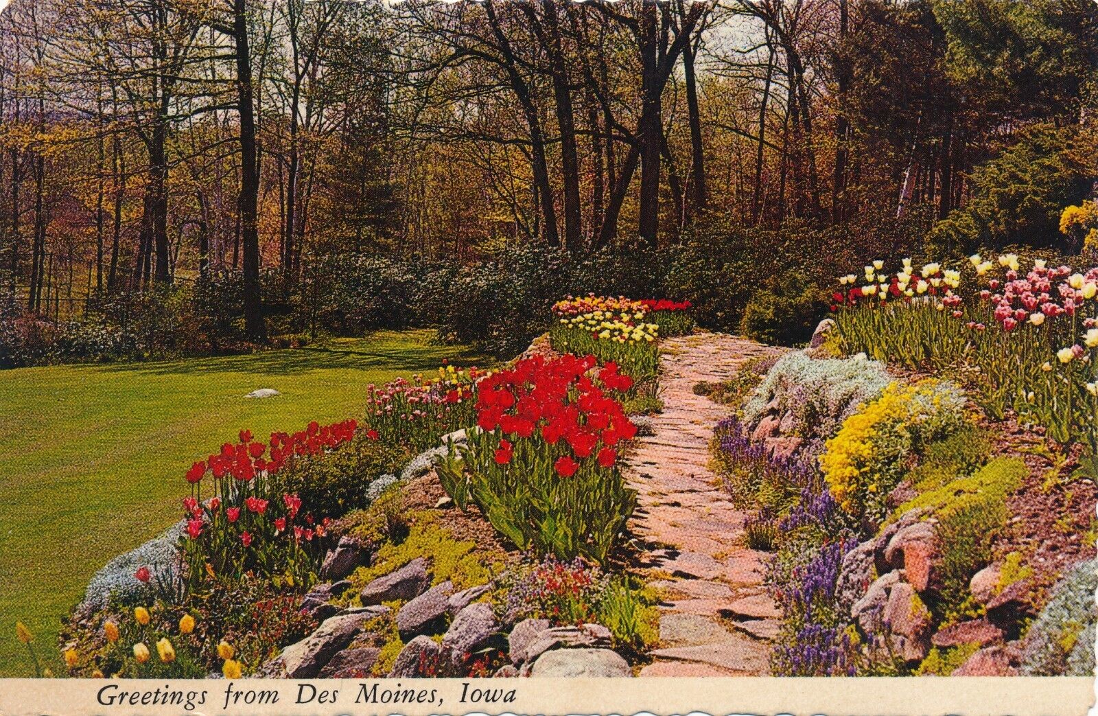 Greetings from Des Moines, Iowa tulip garden vintage continental unposted