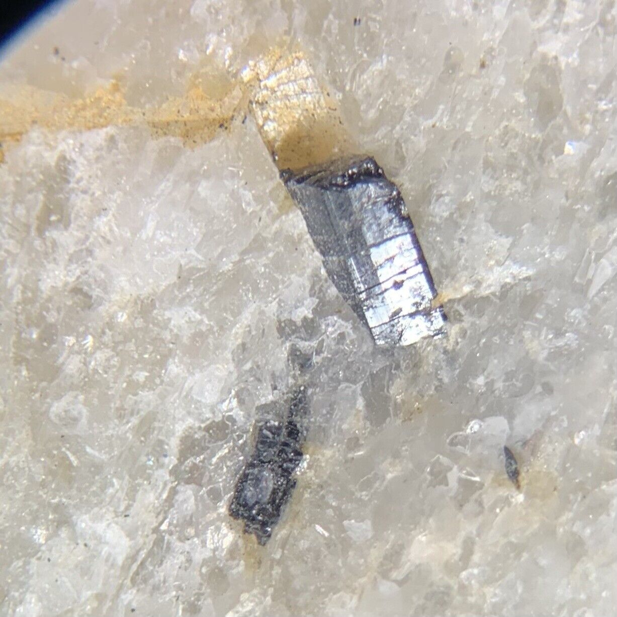 Ludwigite Crystal Micro Mehus Hinnoya Troms NORWAY