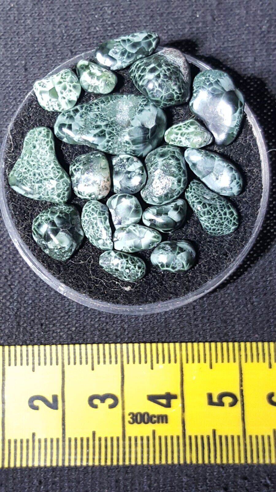 Polished Chlorastrolite Michigan Greenstone great looking gems.