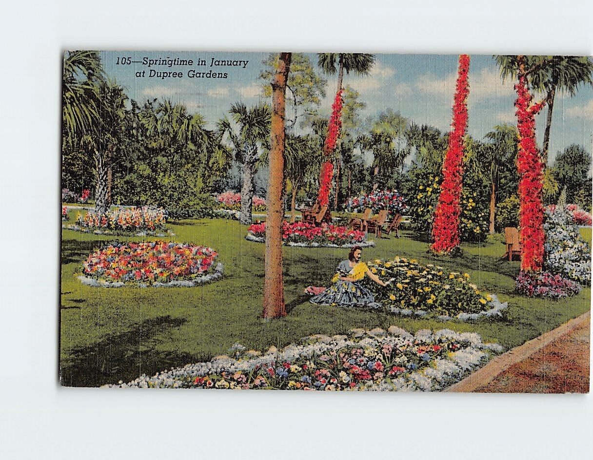 Postcard Springtime in January at Dupree Gardens Florida USA