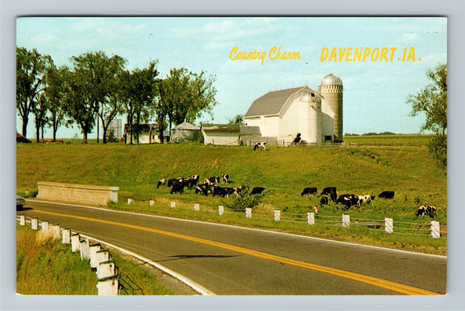 Davenport IA-Iowa Country Charm General Greetings Cows Barn Vintage Postcard